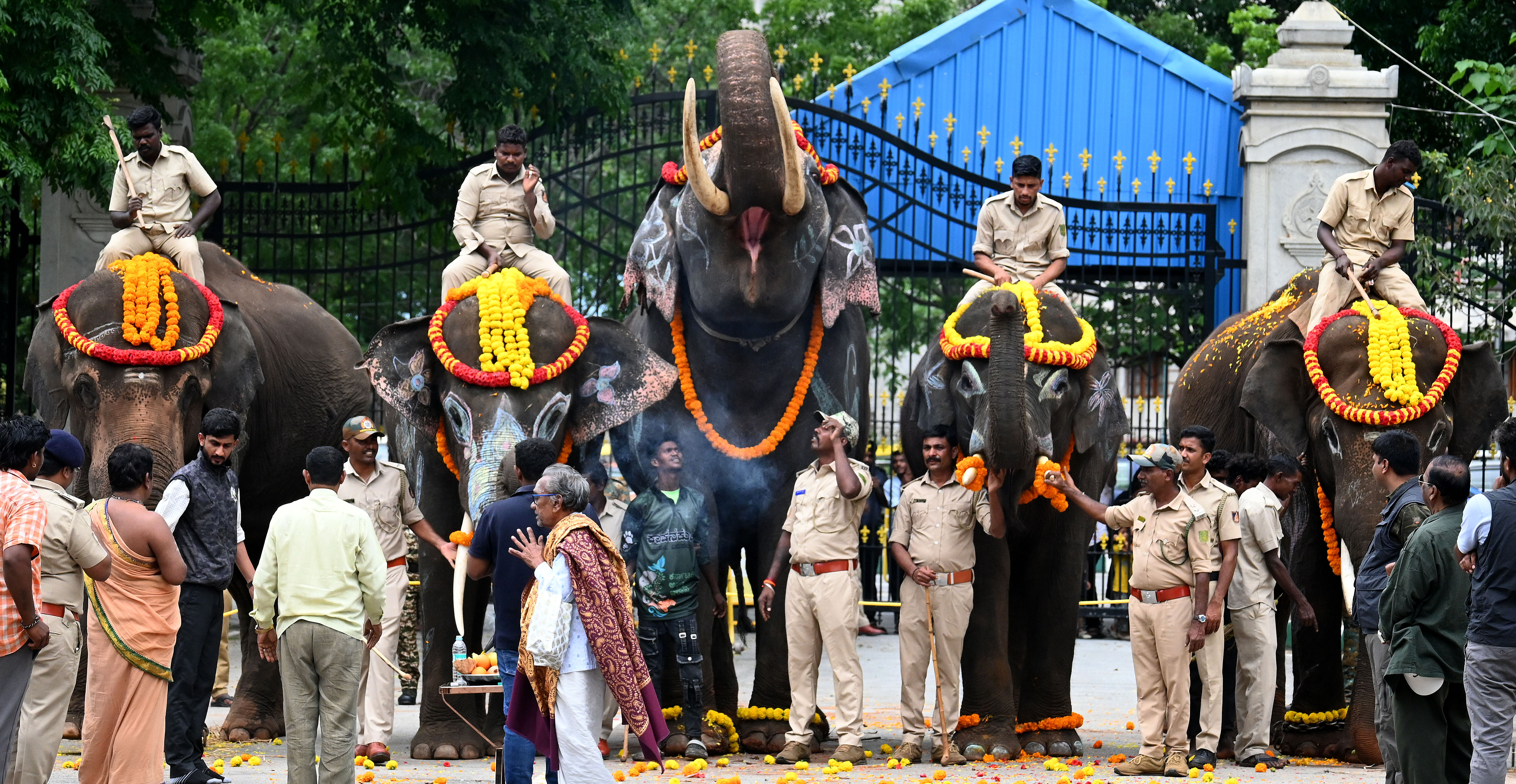 https://salarnews.in/public/uploads/images/newsimages/maannewsimage21052025_203614_Five Kumki elephants arrived at Vidhana Soudha (6).jpg